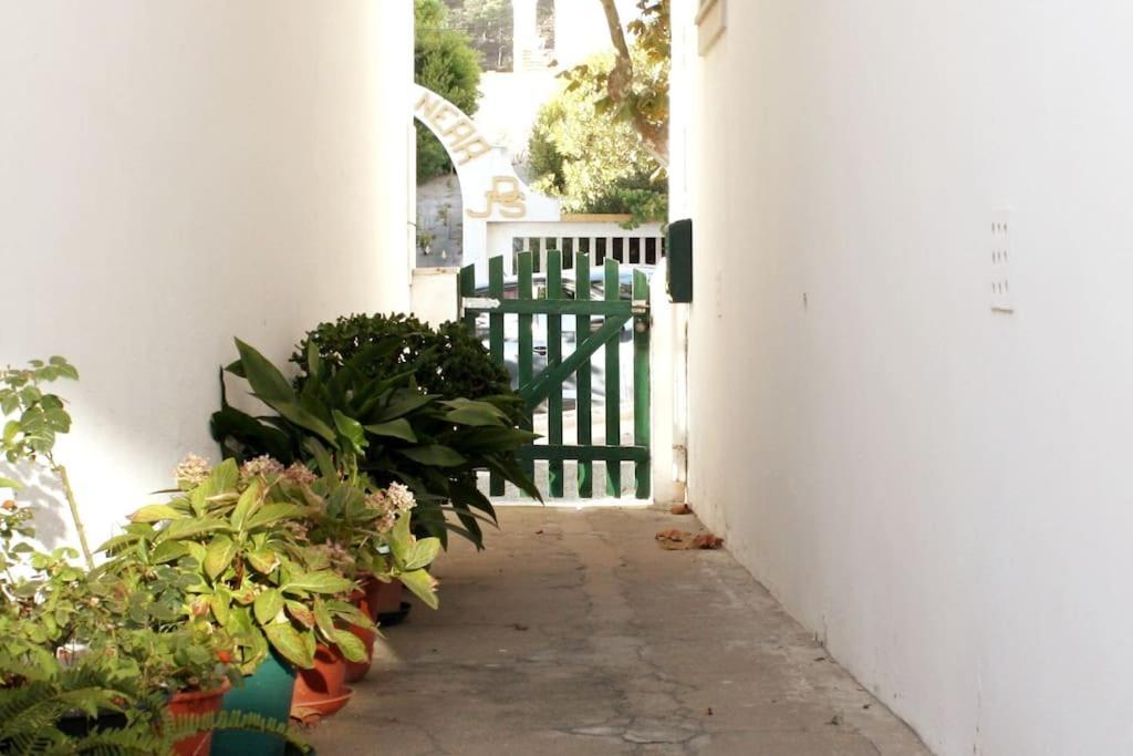 The Green Gate Patio House Nazaré Kültér fotó